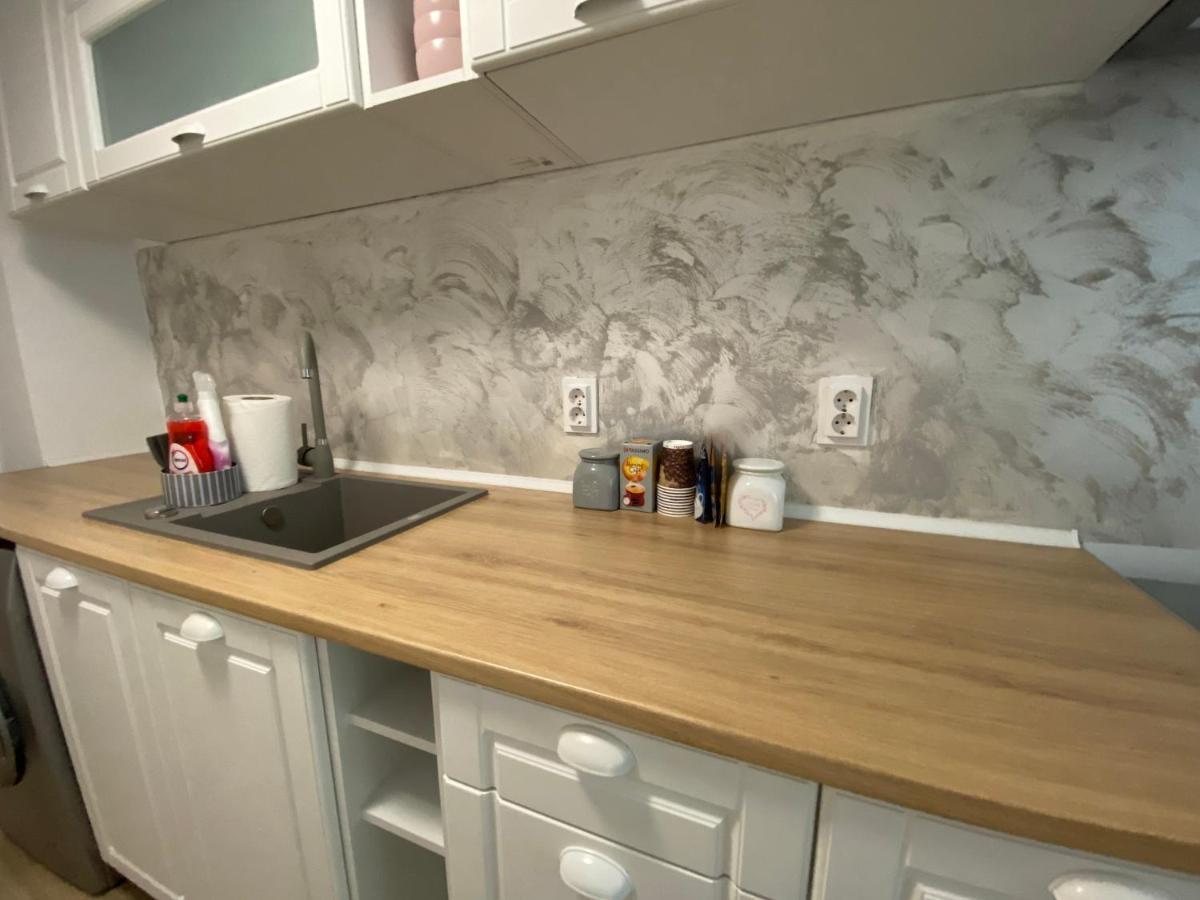 부쿠레슈티 Apartament Dorobanti 아파트 외부 사진